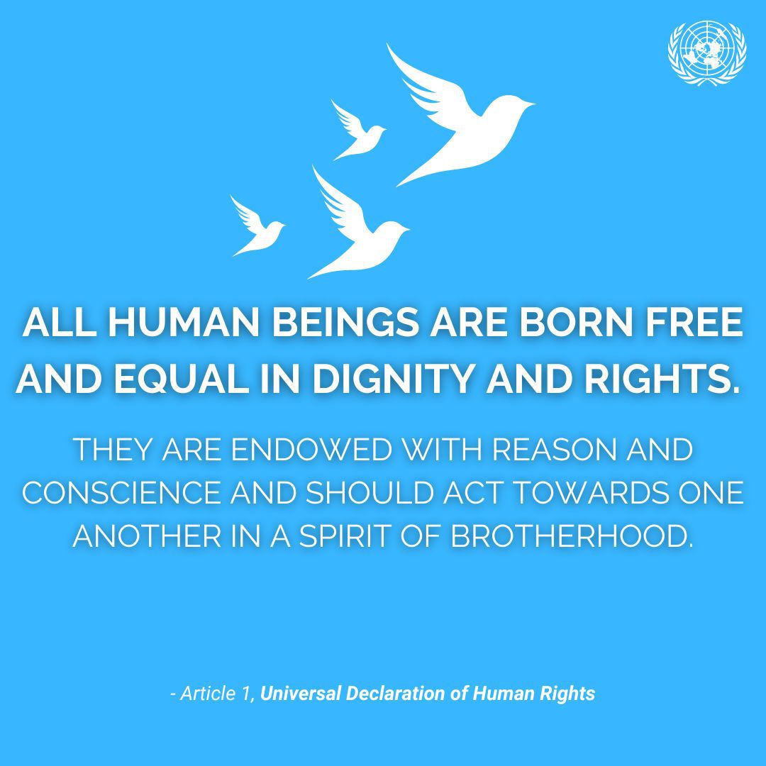 Universal Declaration Of Human Rights Article 1 United Nations