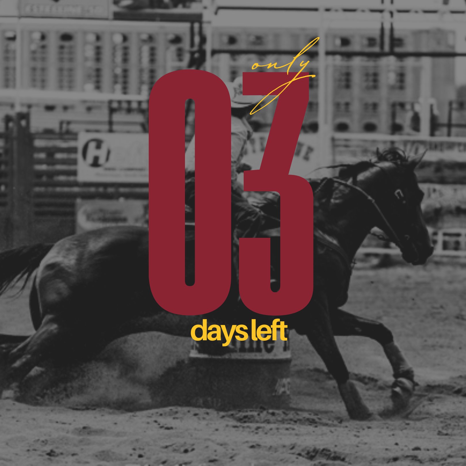 ISU Cyclone Stampede Rodeo | Ames IA