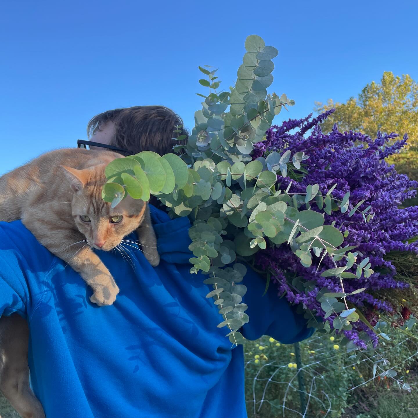 Backfield Flower Farm | Columbus IN