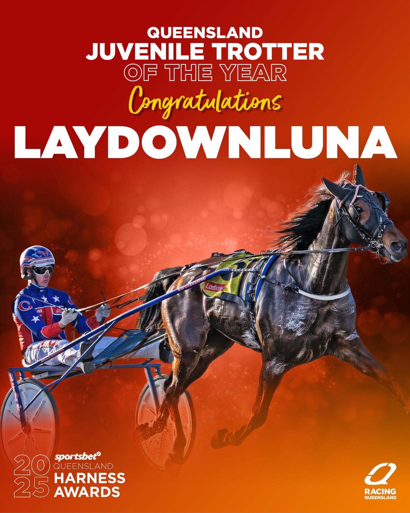 RaceQ - Laydownluna claims Juvenile Trotter of the Year... | Facebook