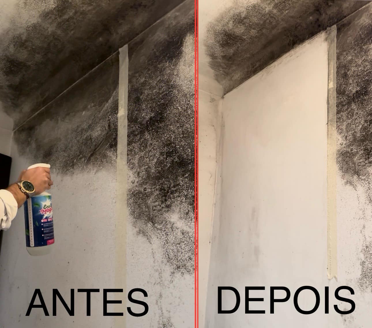 Eco - Problemas com humidade e bolores? ENCOMENDE JÁ ! Veja o antes e ...