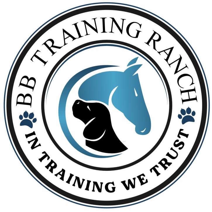 Applying pressure during protection work isn’t about destroying a dog’s ...