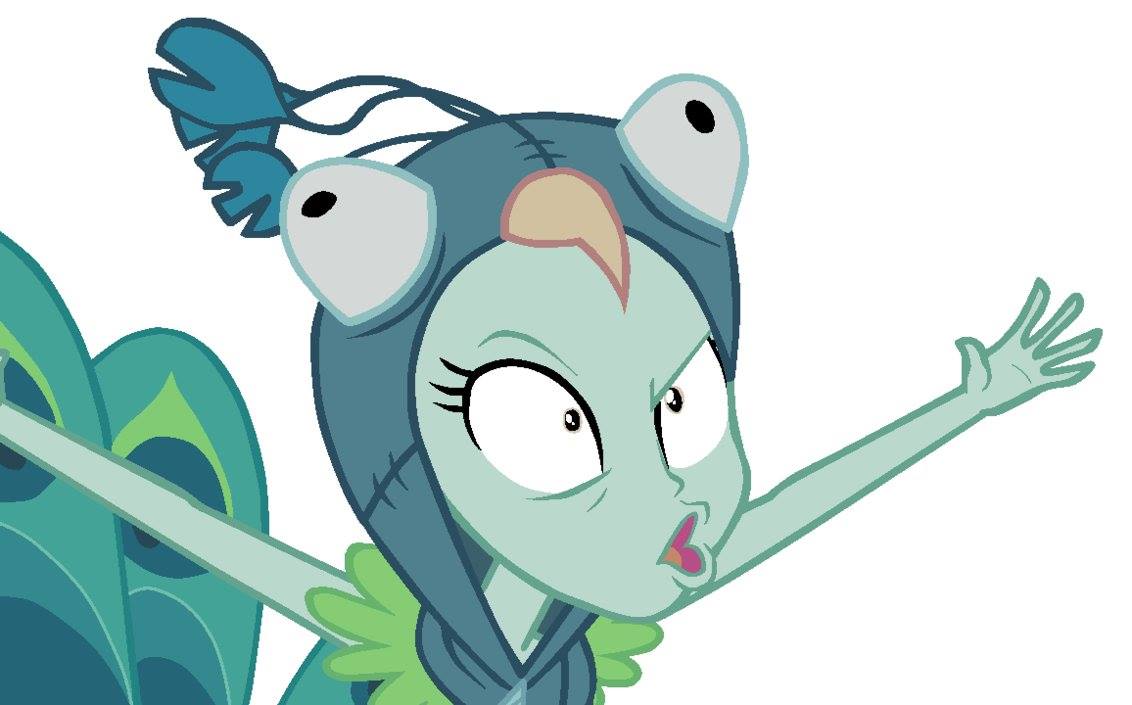 MLP-Bases∞