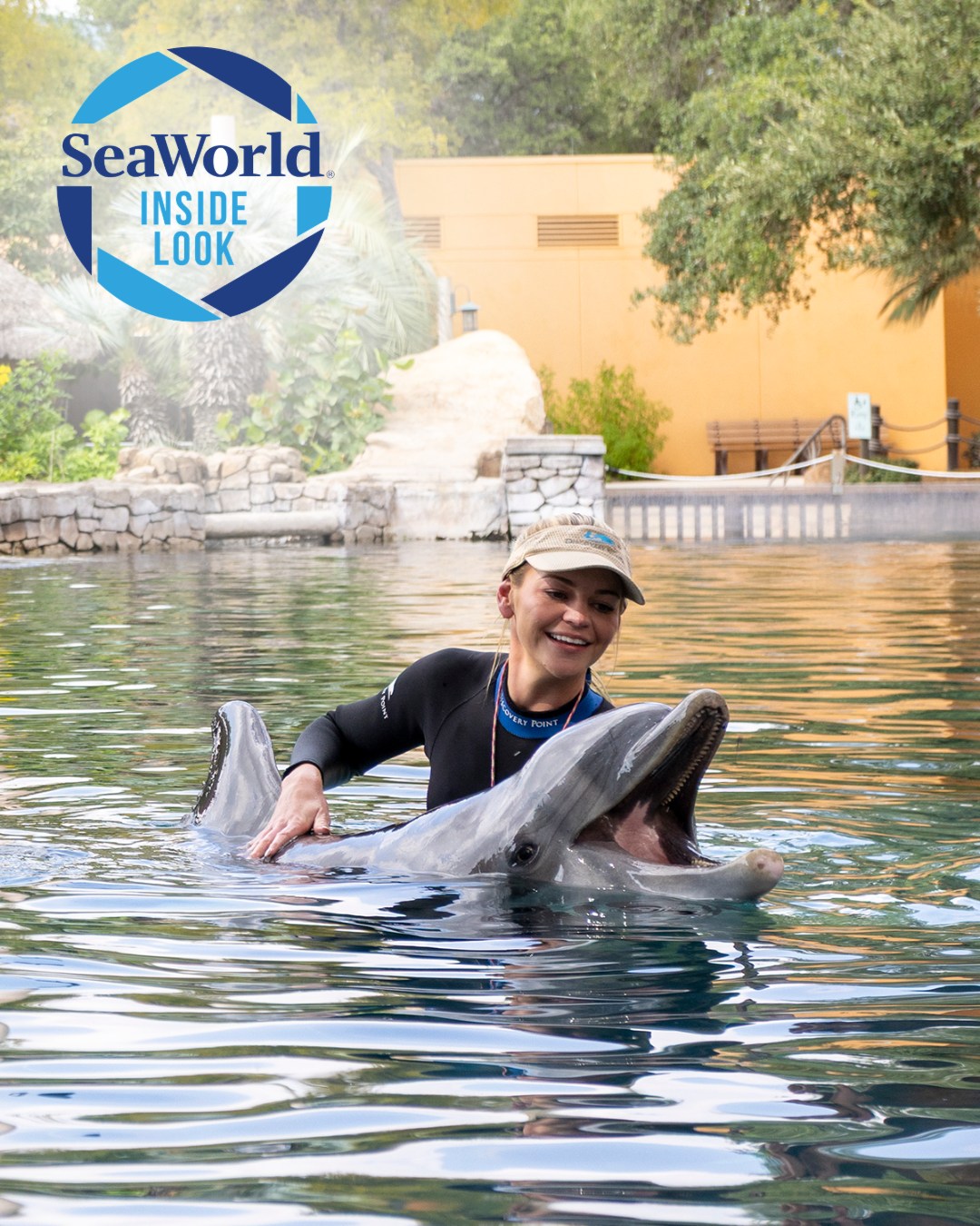 SeaWorld - This Inside Look weekend is a special one! 🐬🌟 Join us as our ...
