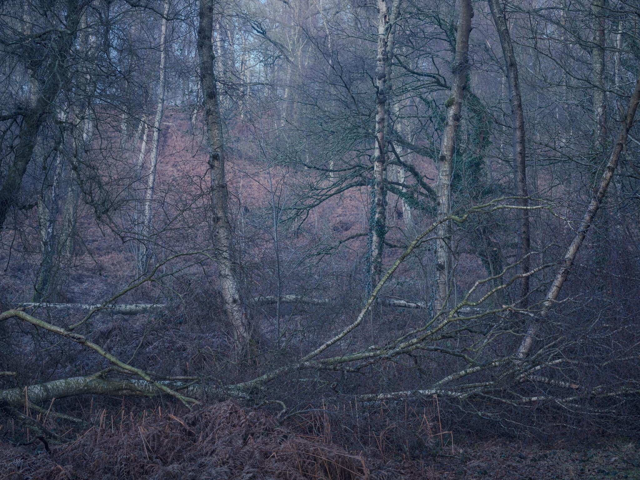 Tom Blockley Photographer