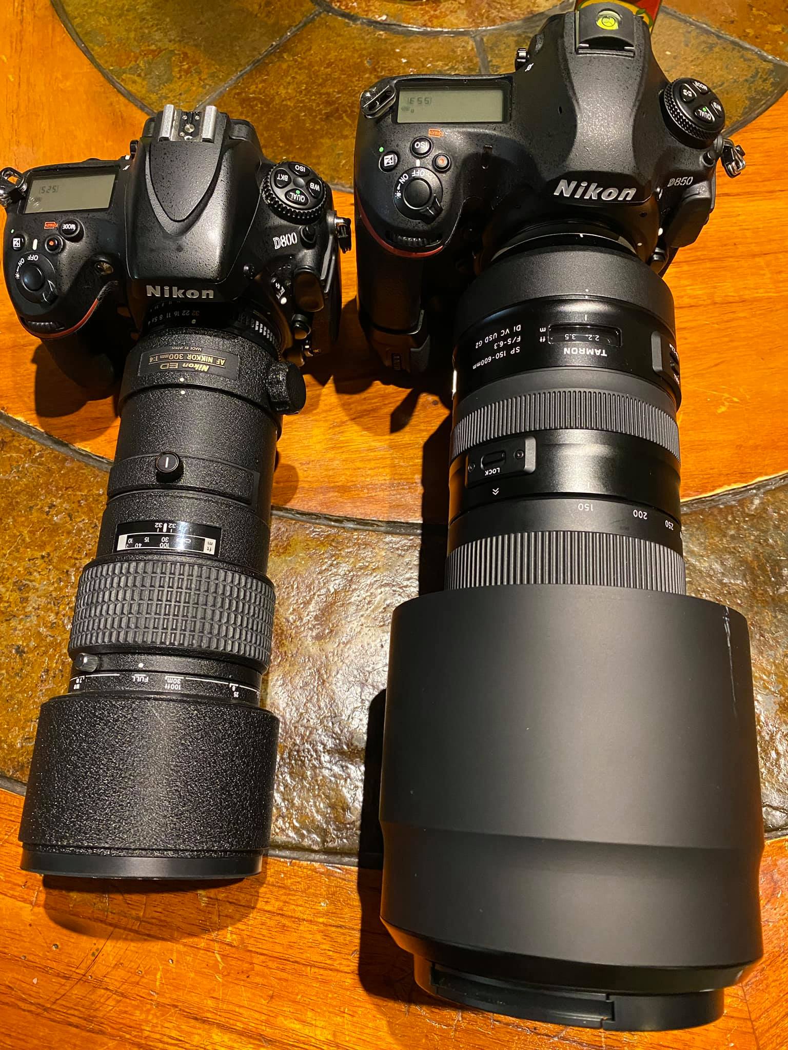 Nikon D850 and Tamron 70-300 lens combination