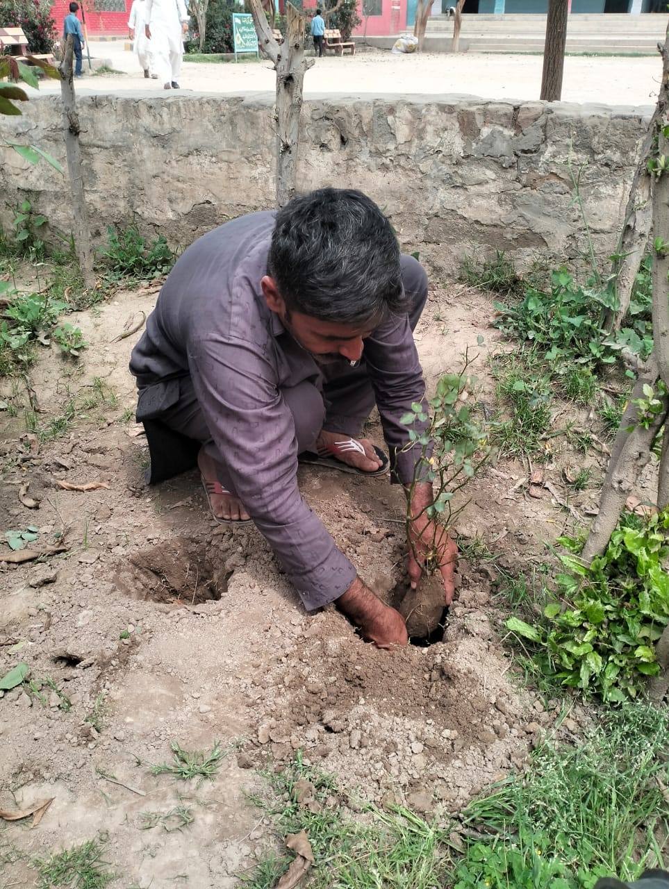 Govt. Elementary School Rajana