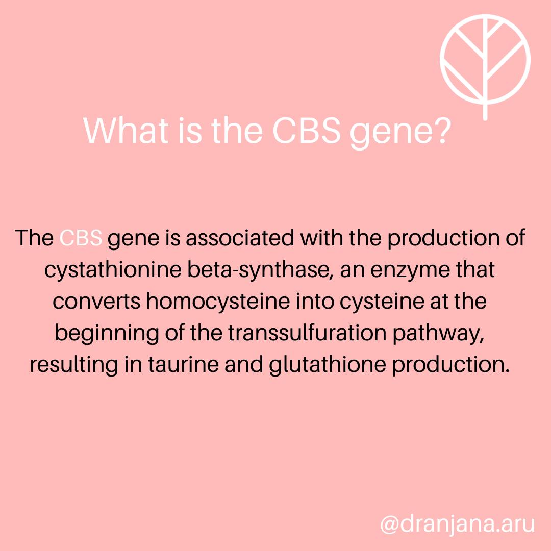 plaing cbs on media supplemented with glutathione Those mutations- can you handle supplements? Constantly battling colds Specific disruption of glutathione-defense ny_age_gate Size:90 CT