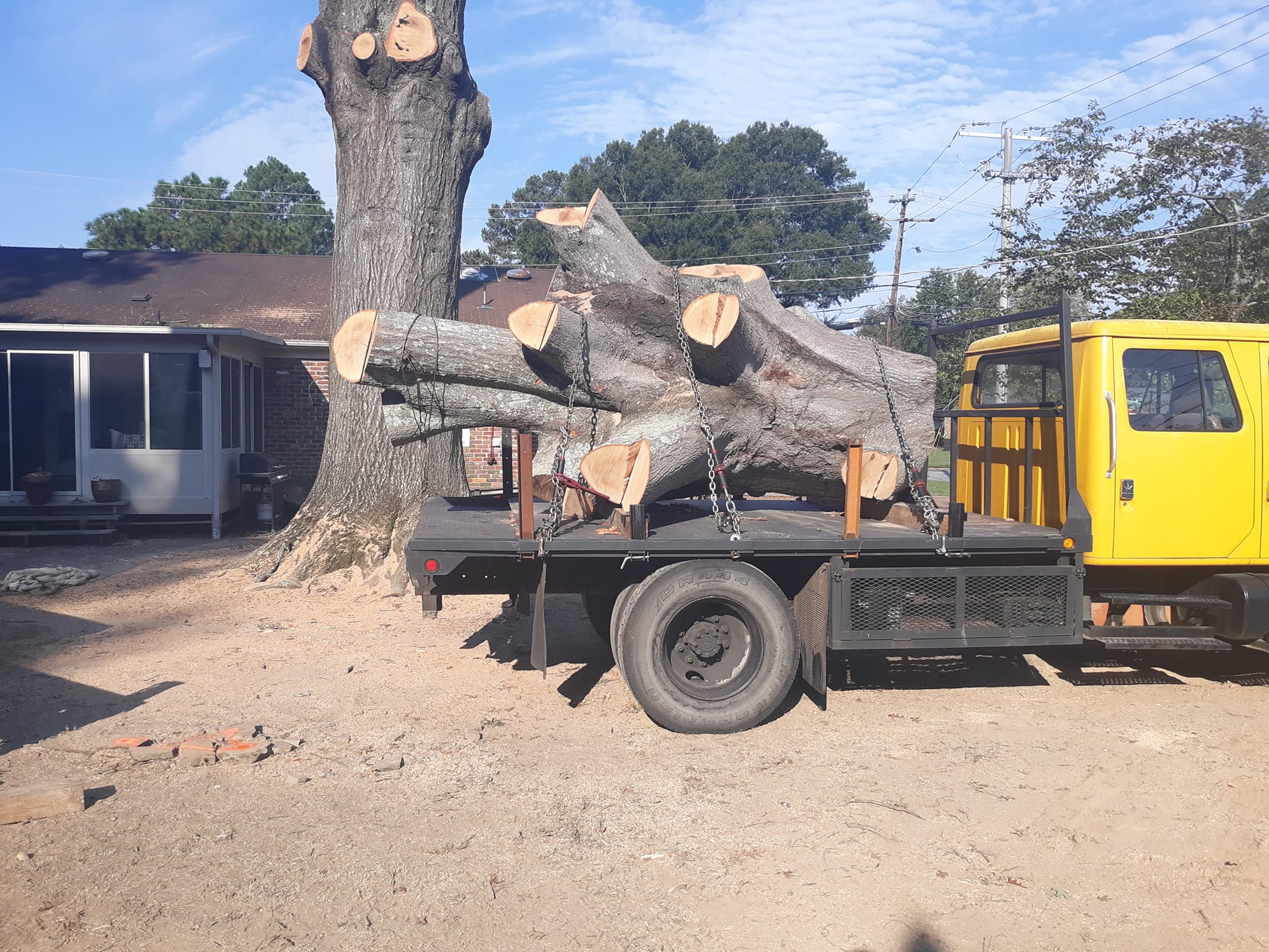 Five Points Tree Service | Huntsville AL