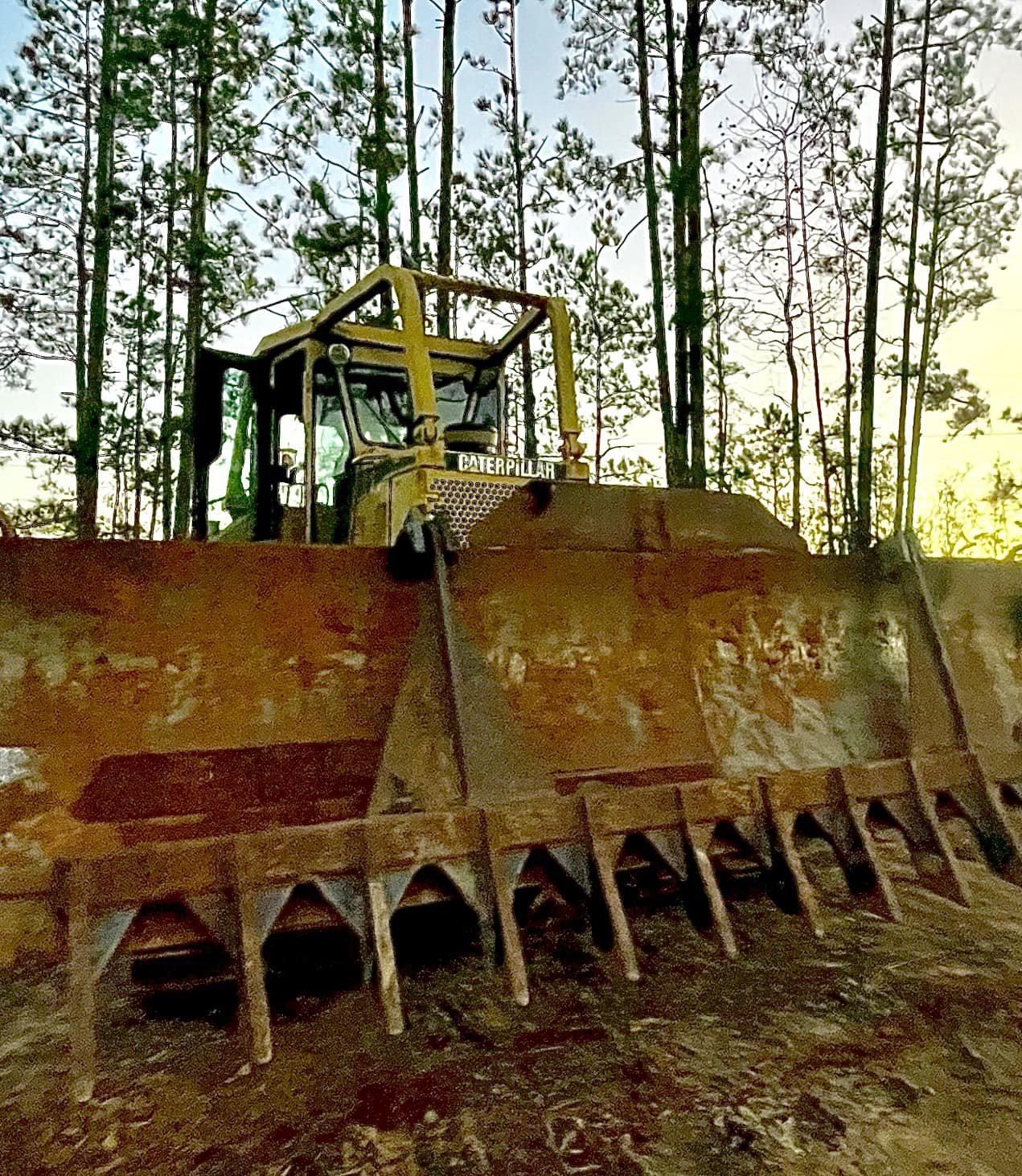 Milner Forestry Mulching and Debris Removal | Barnesville GA