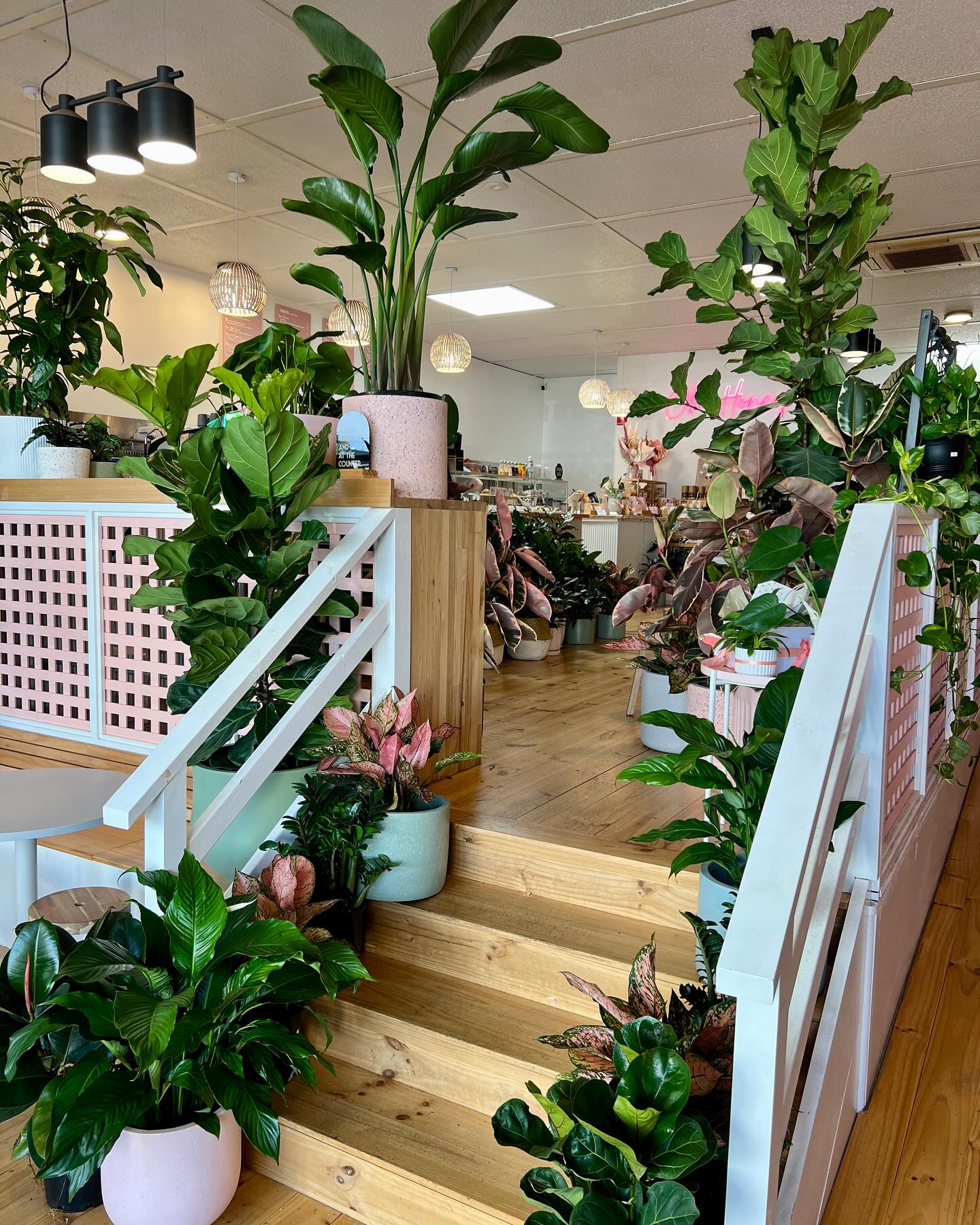 Oh Honey Plants - It’s looking nothing short of seriously... | Facebook