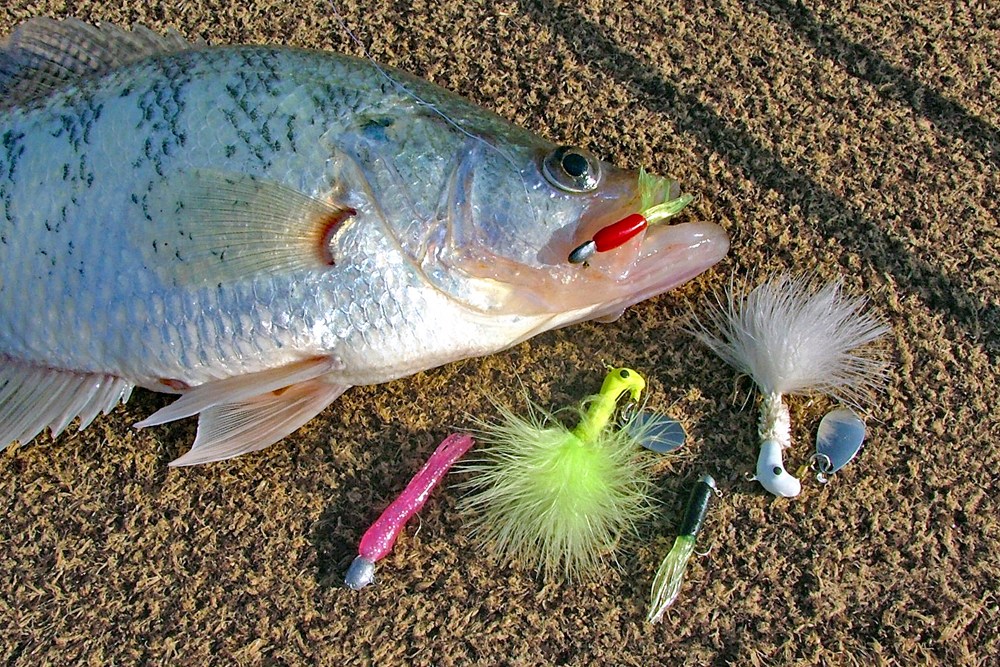 catching fish with hair lure Dude Jigs How to catch estuary species