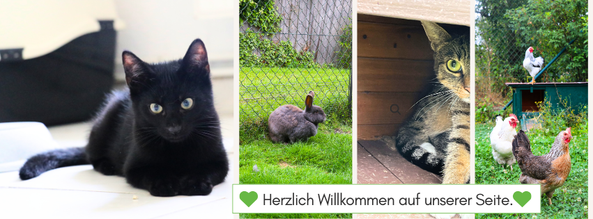 Frauen helfen Frauen e.V. Calw | Facebook