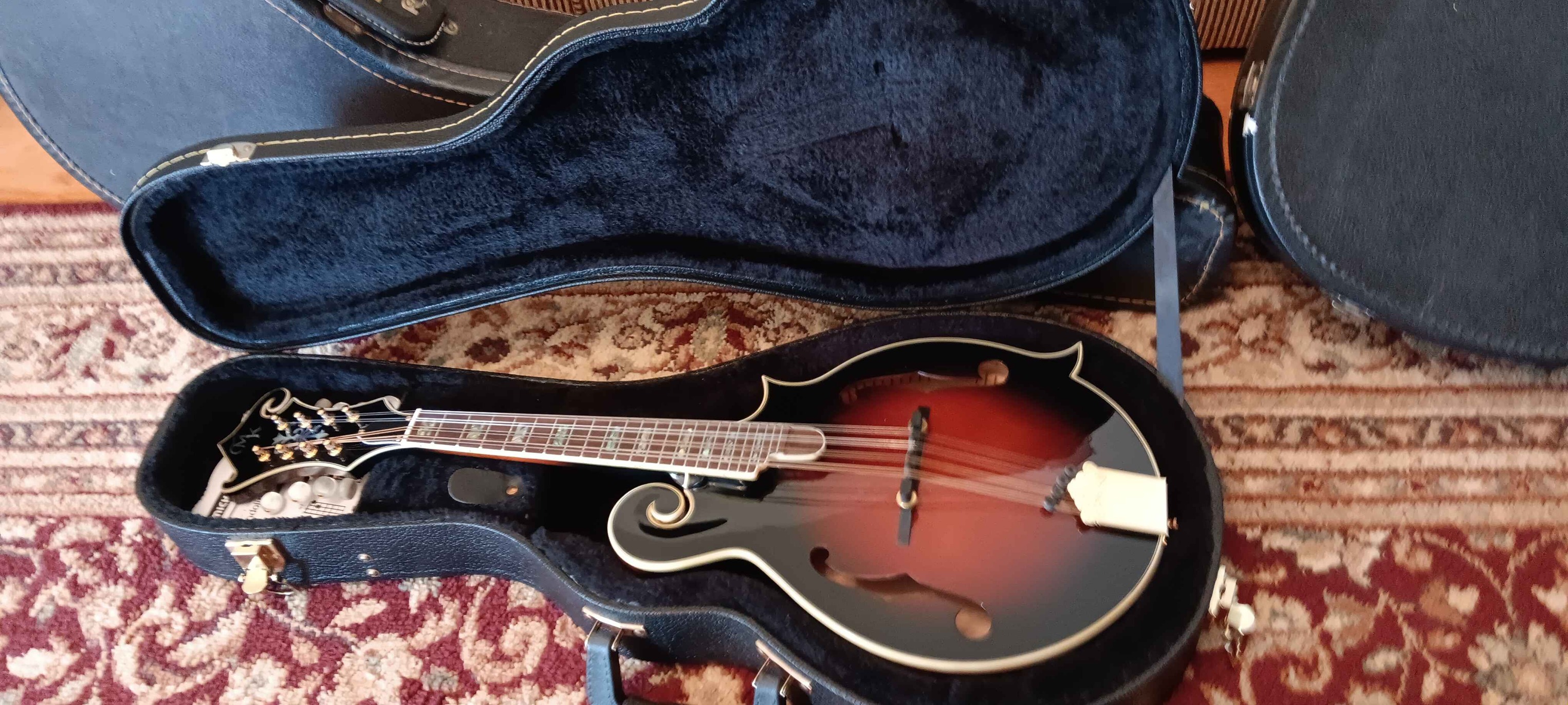 Mandolin, musical instrument, for sale.