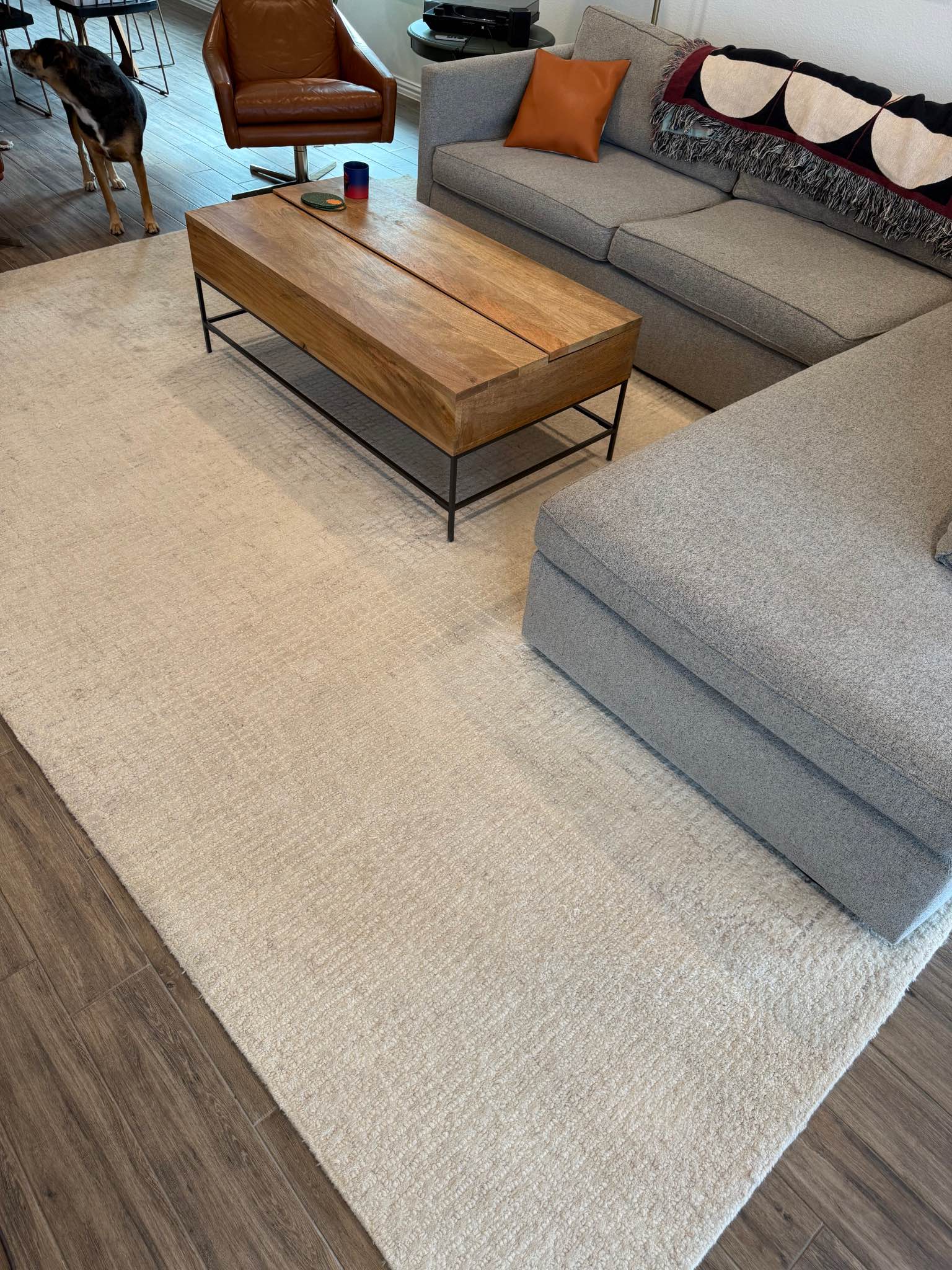 Best HD Pictures about  9x12 Pottery Barn Rug  with No AI Images