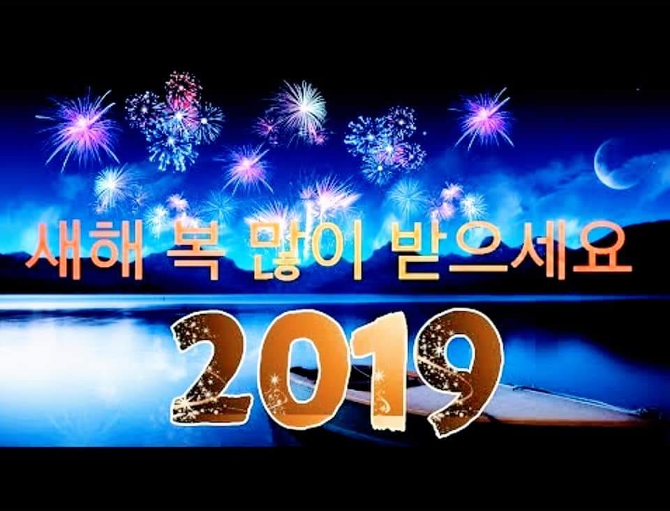 황금돼지의 해, 풍요로움이 가득한 2019년 기해년!... - 서울종합예술실용학교 글로벌외식계열 SAC | Facebook