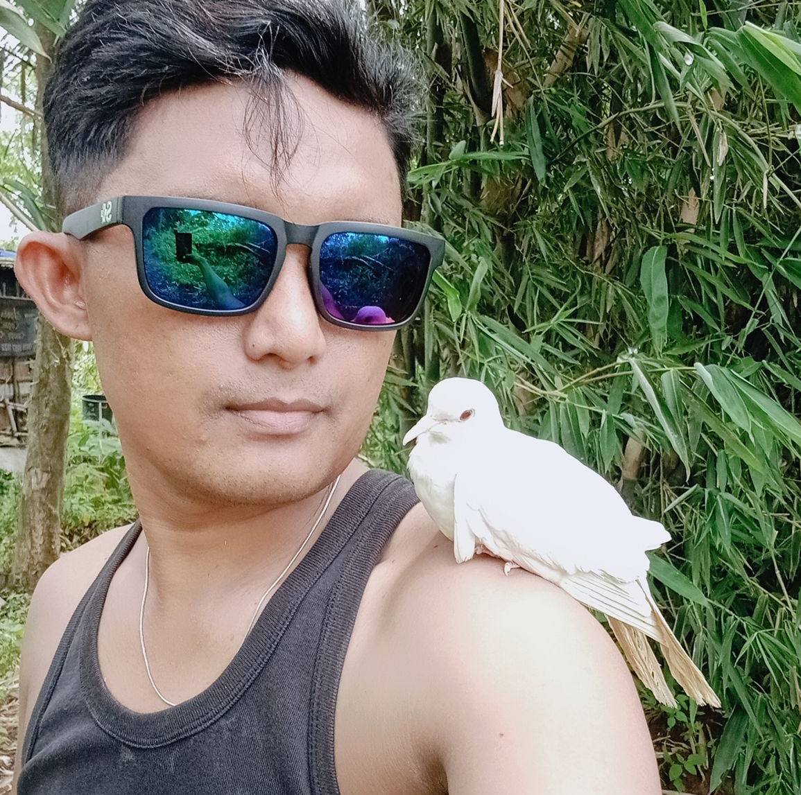 catching birds using simple tools #reels #videos #catBirds | Conk AriEf