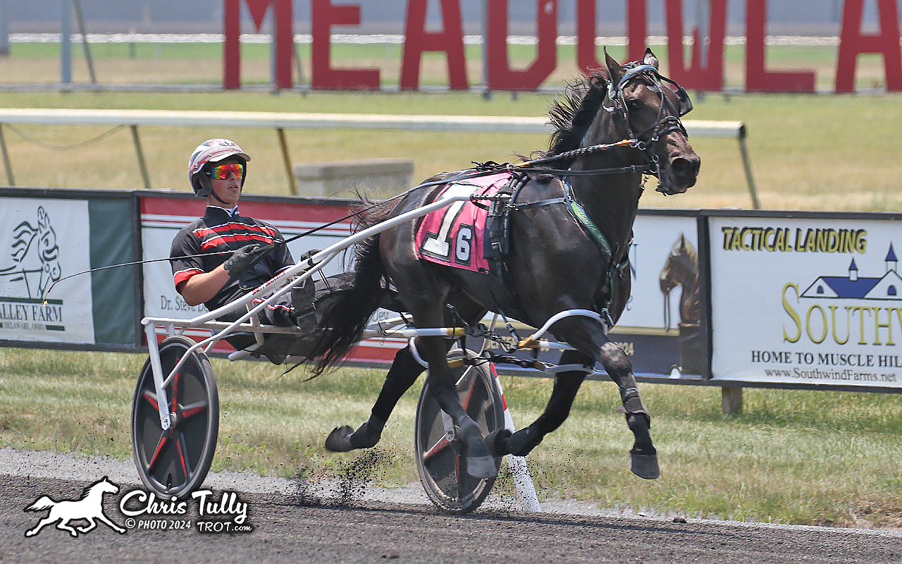 Standardbred Harness Racing
