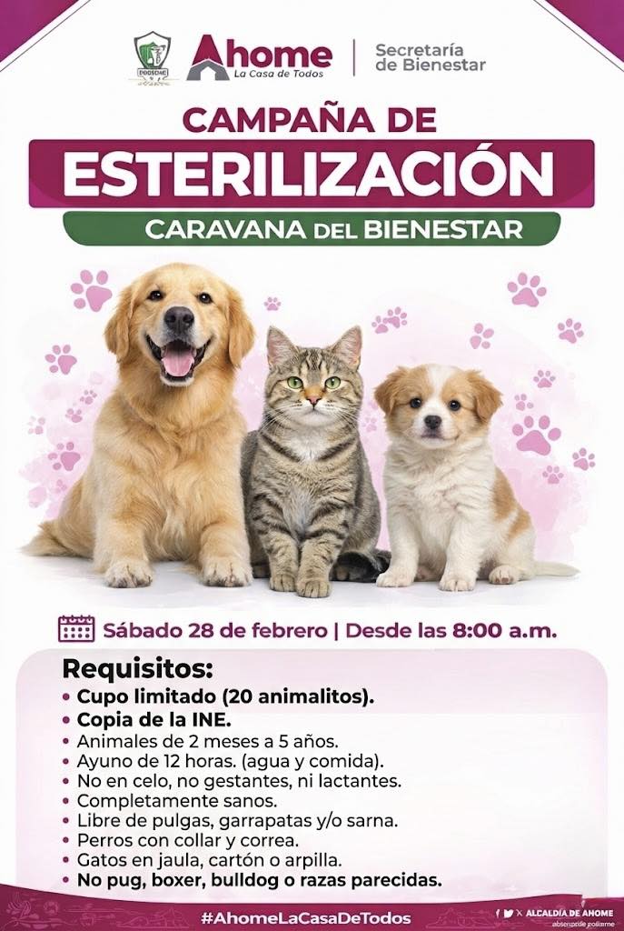 Bienestar Ahome - 🐾El H. Ayuntamiento de Ahome, a través... | Facebook