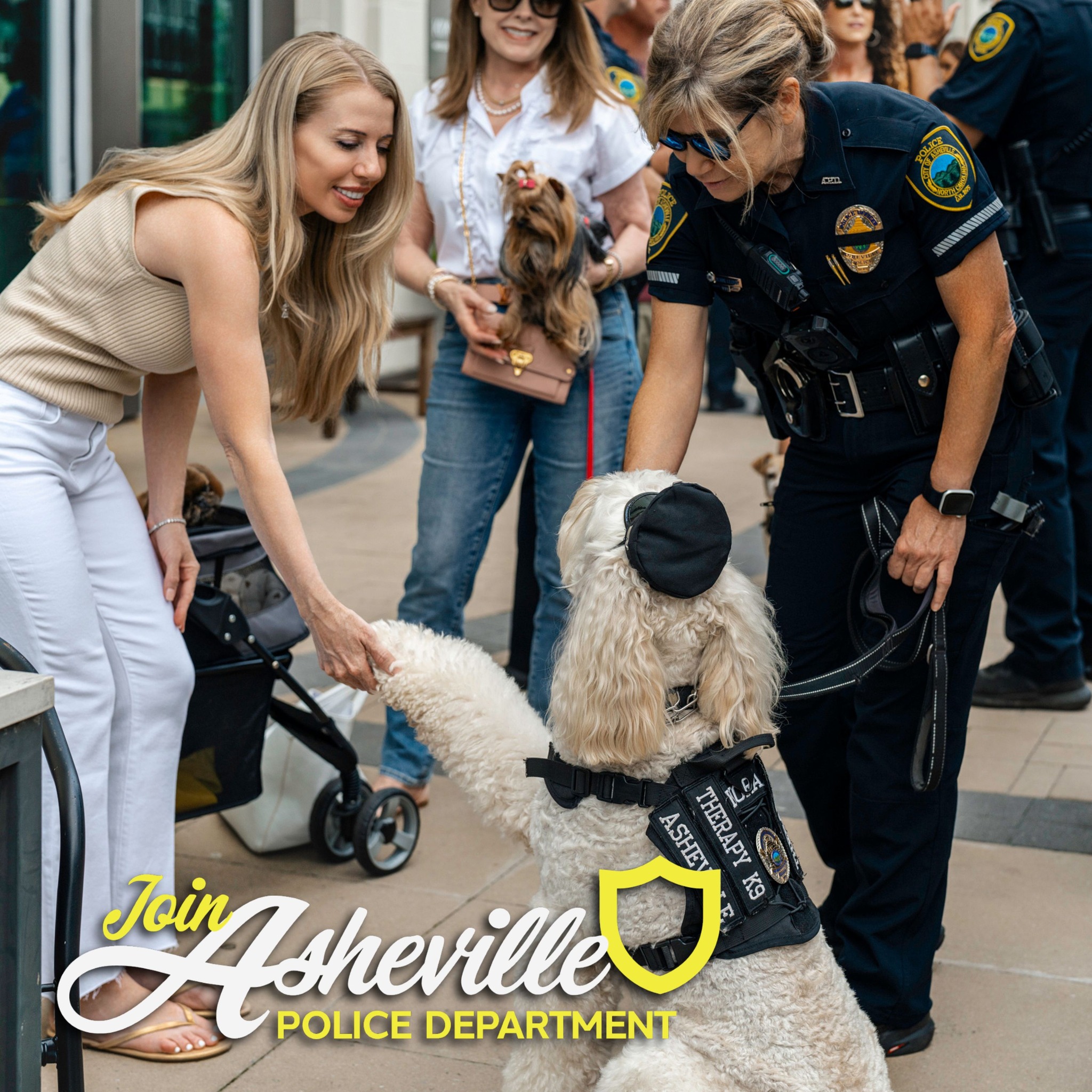 At the Asheville Police... - Asheville Police Department