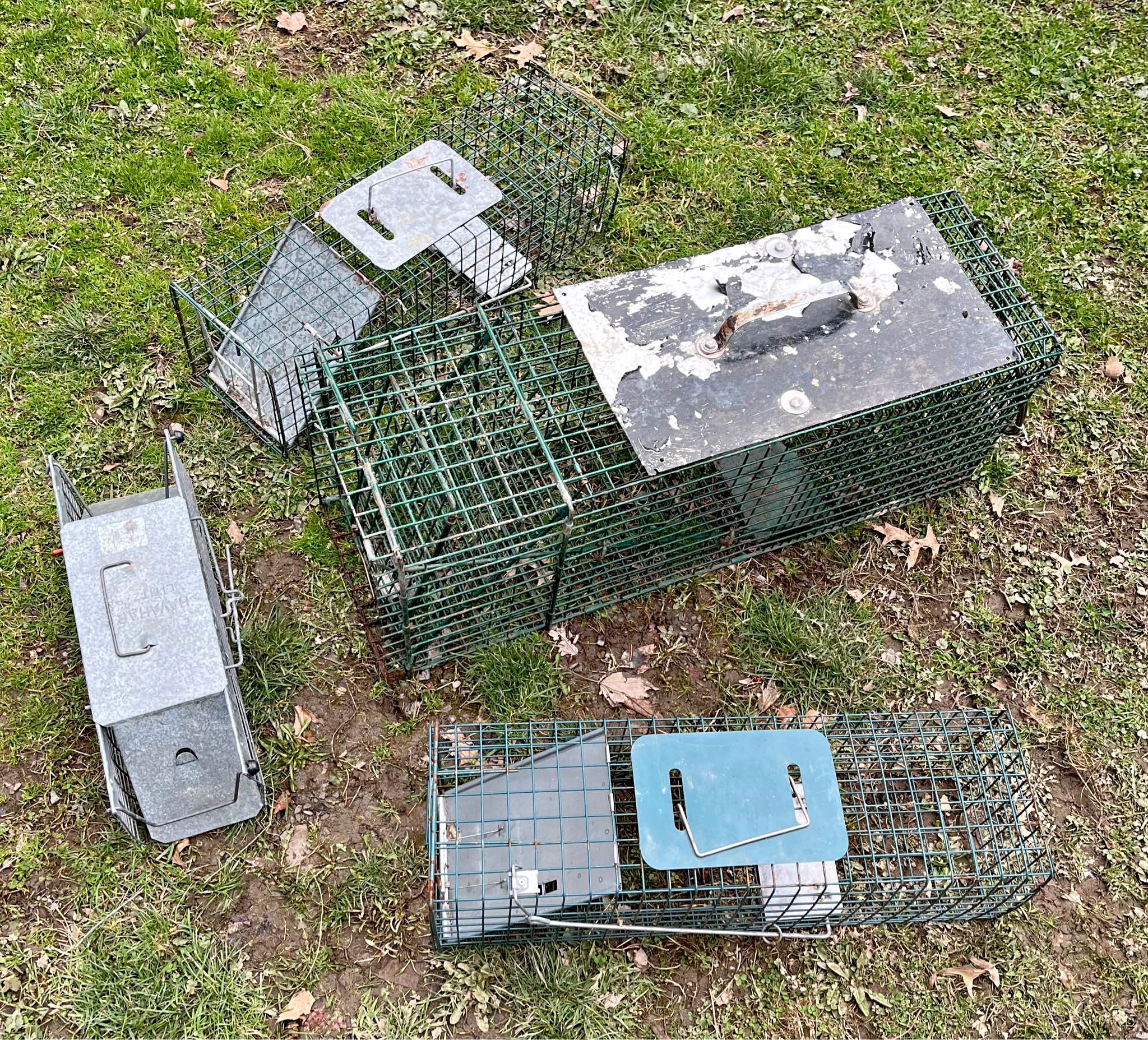 Newhouse #11 long spring traps like new - Gardening Supplies ...