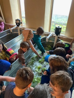 Strong Roots Organic Farm | Woodward PA