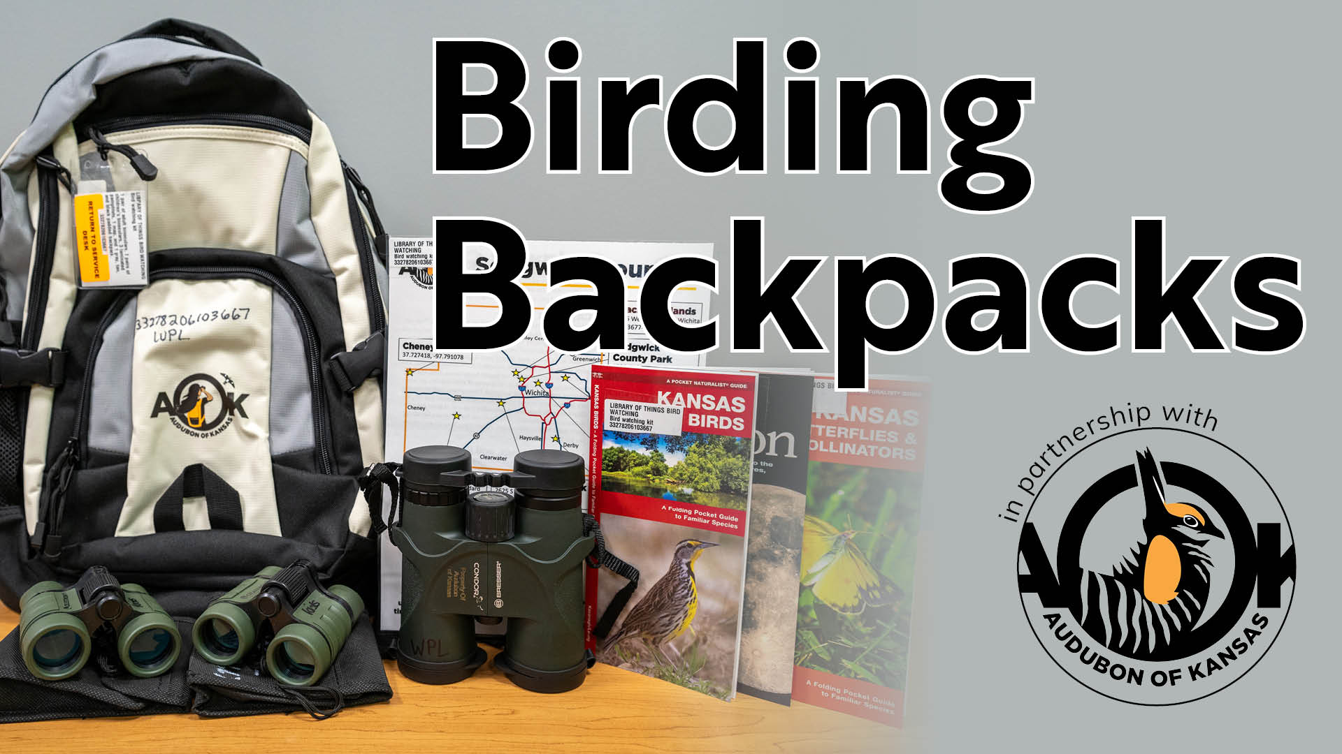 How to Carry Birding Binoculars in Backpacks? Expert Tips Revealed
