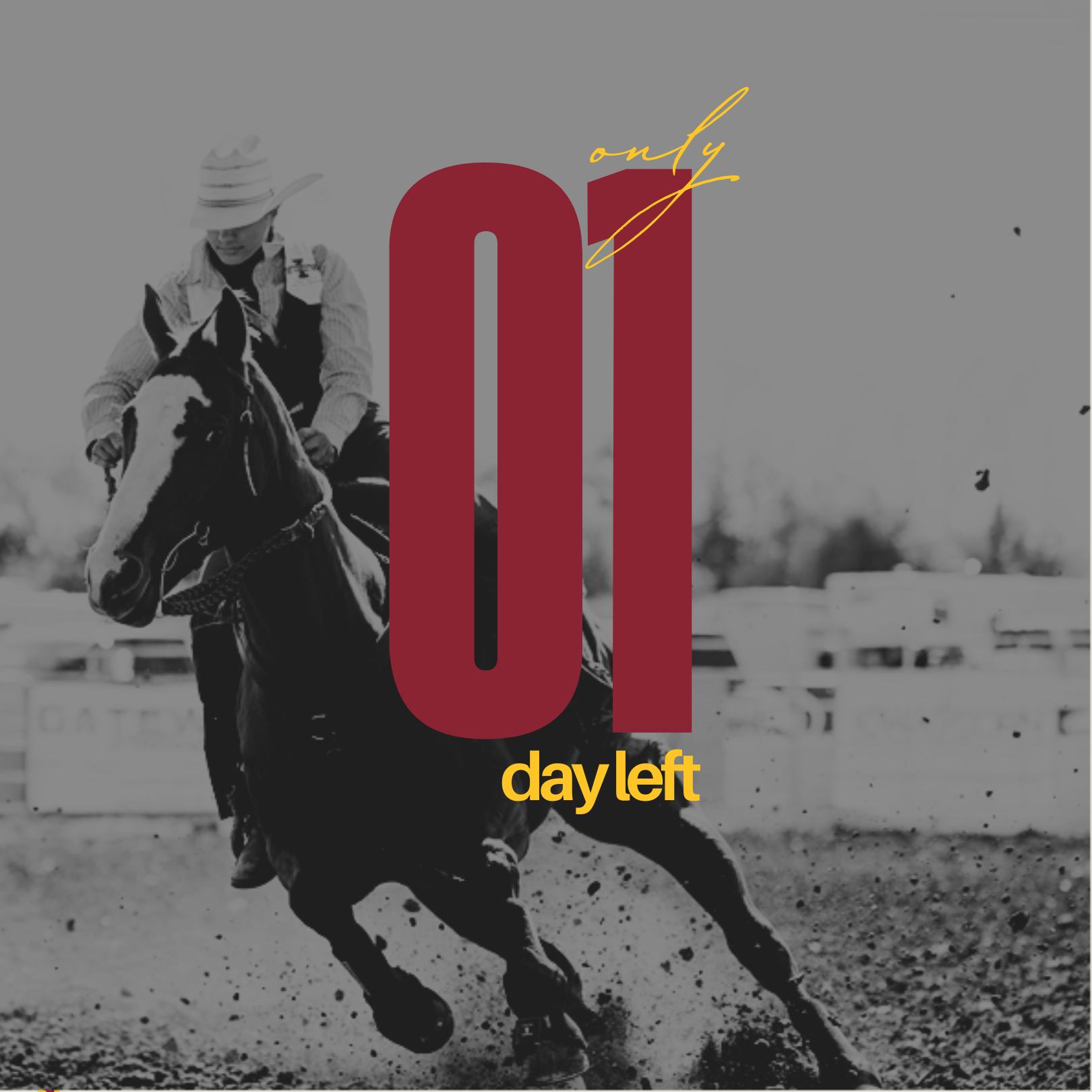 ISU Cyclone Stampede Rodeo | Ames IA
