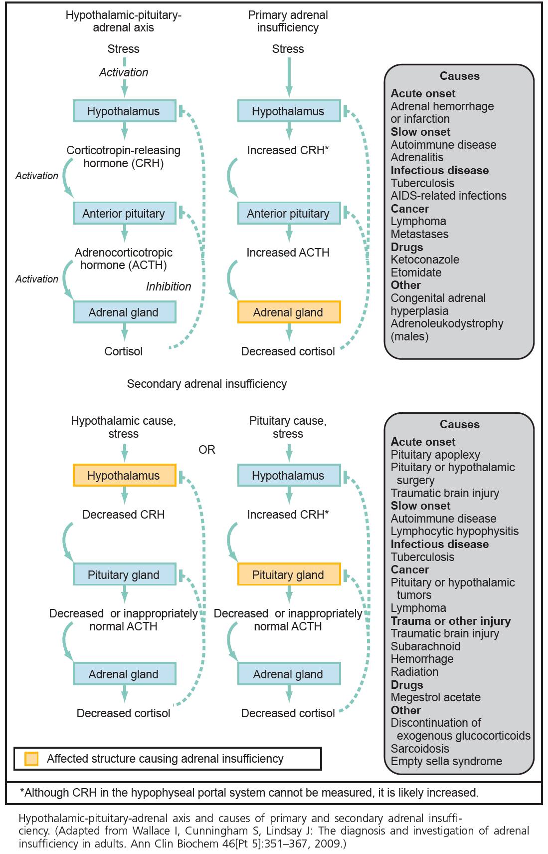 Manual - Causes of Primary and Secondary Adrenal Insufficiency | Facebook