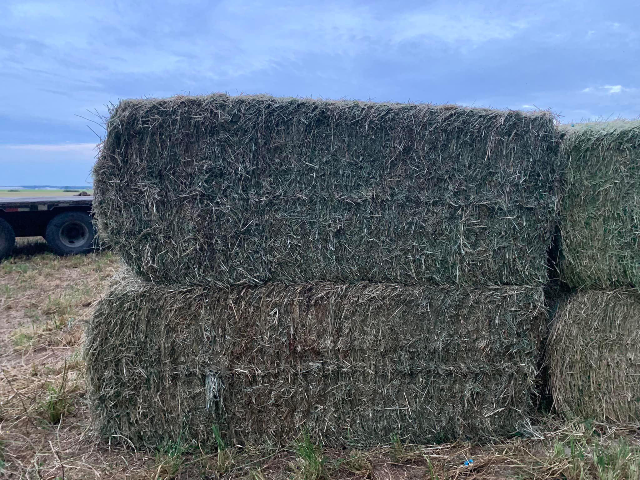Besecker Farms | Greenville OH