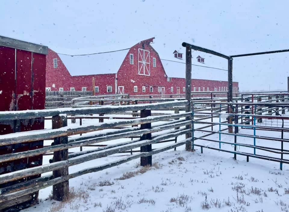 Silver - The Walden Division of the Silver Spur Ranches is hiring for a ...