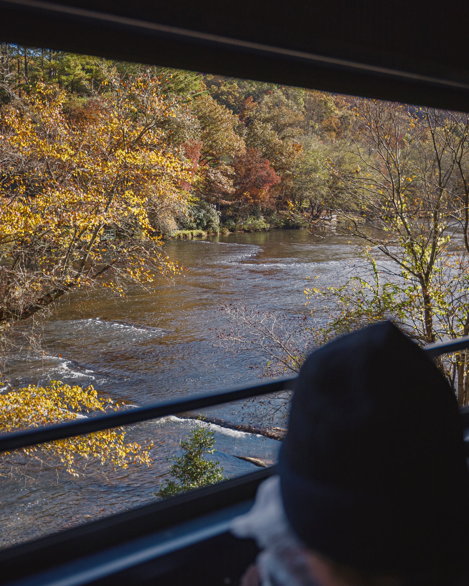 Blue Ridge Scenic Railway - Fall colors are best enjoyed at a slower ...