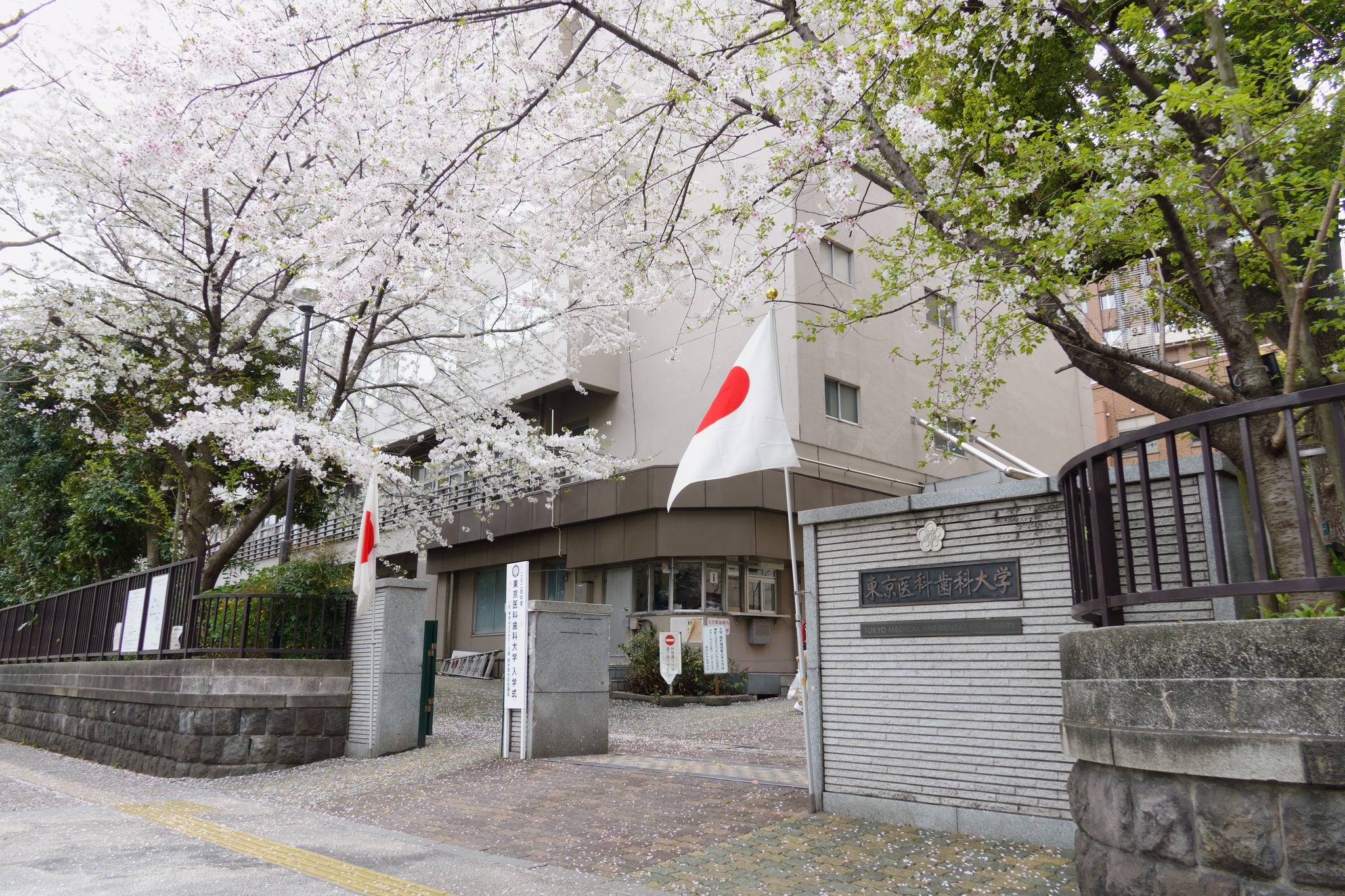 2024年度学部入学式が挙行されました】 2024年度東京医科歯科大学学部