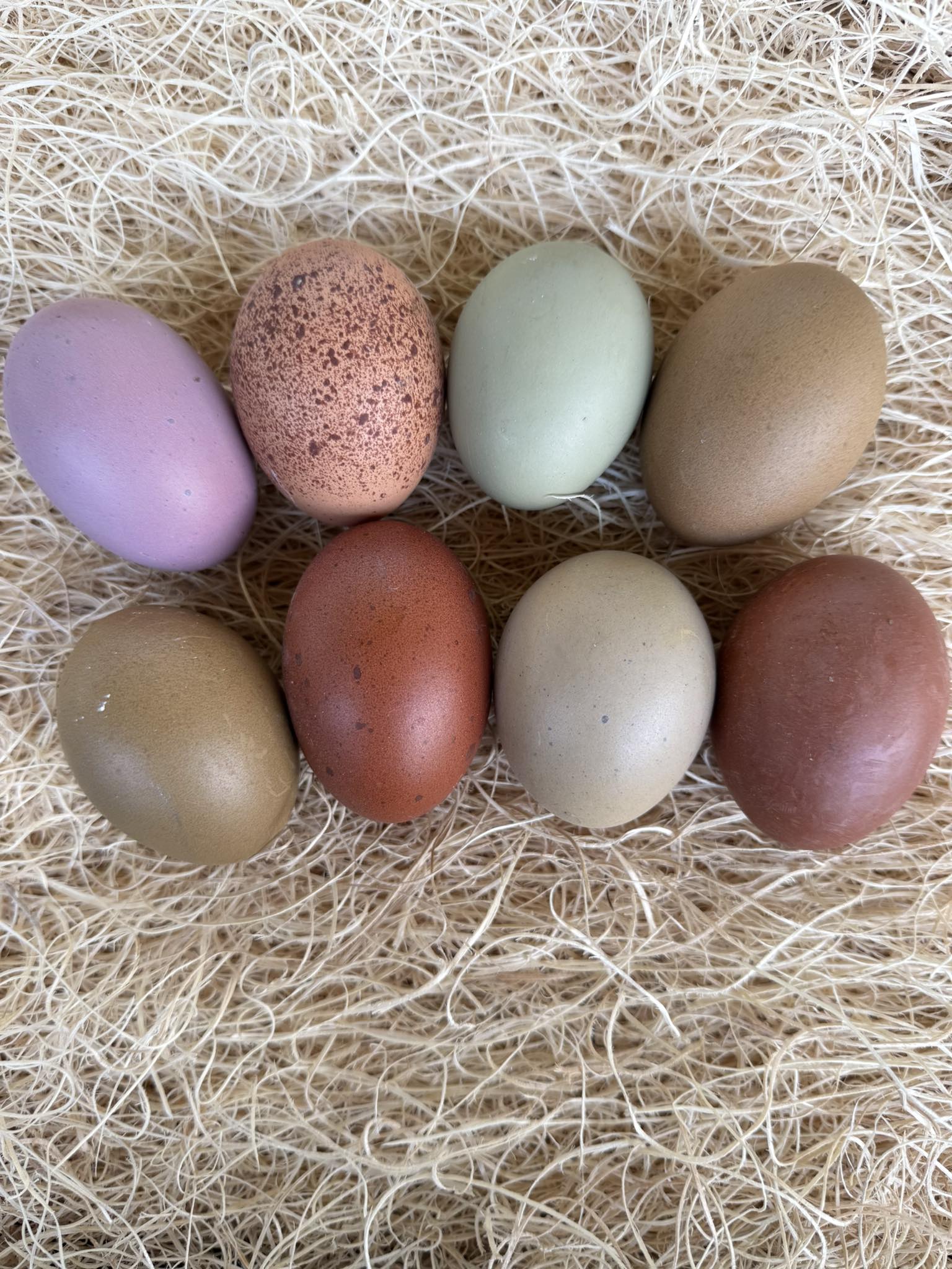 Bryant’s Roost - The proper way to remove foam and eggs... | Facebook