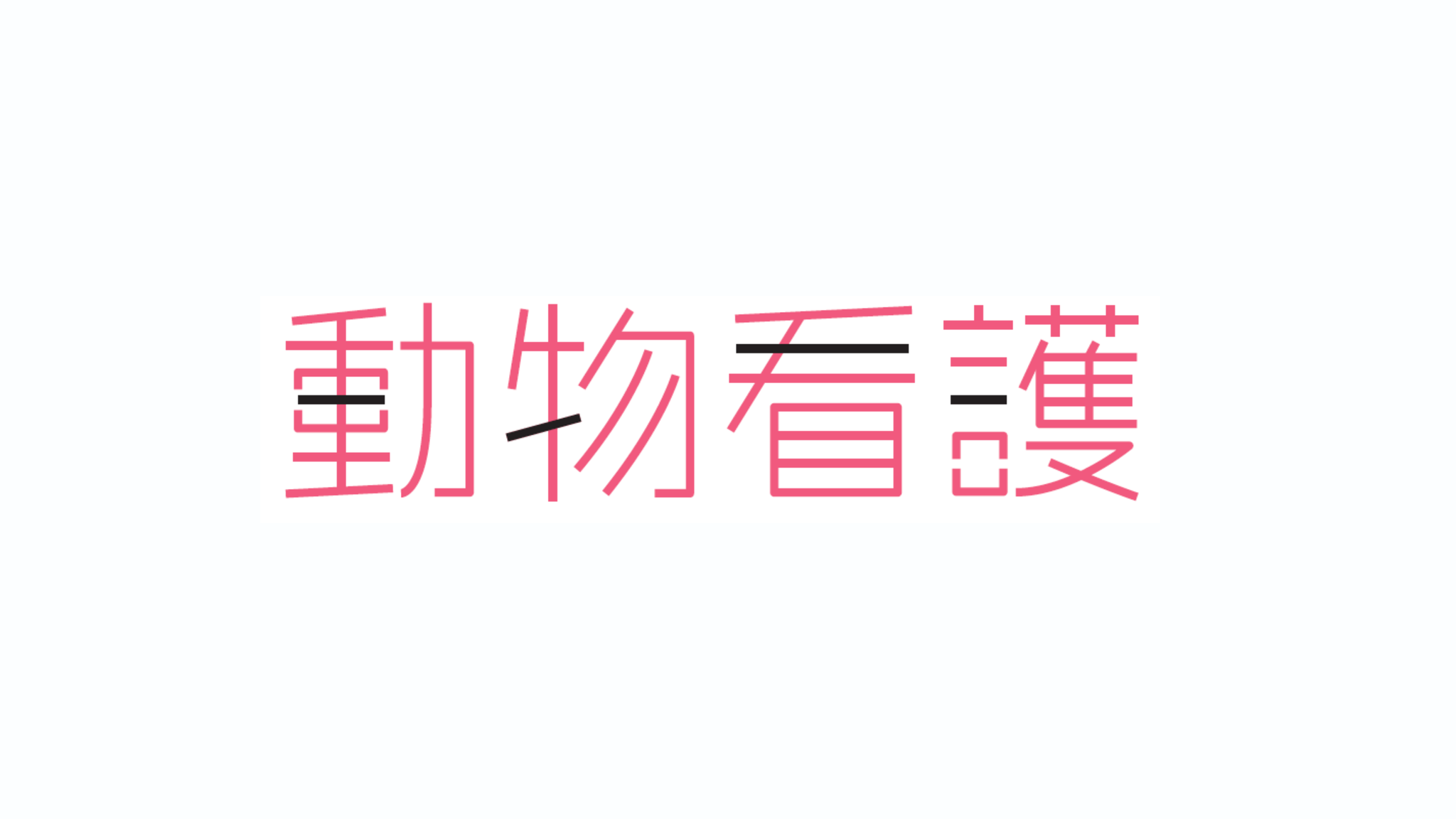 動物看護専用 月刊誌 動物看護 2024 Vol.36 全12巻 動物看護専用 月刊