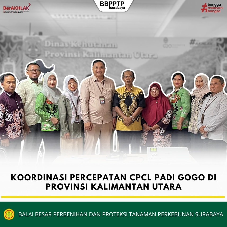 Koordinasi Percepatan CPCL Padi Gogo di Provinsi Kalimantan Utara ...