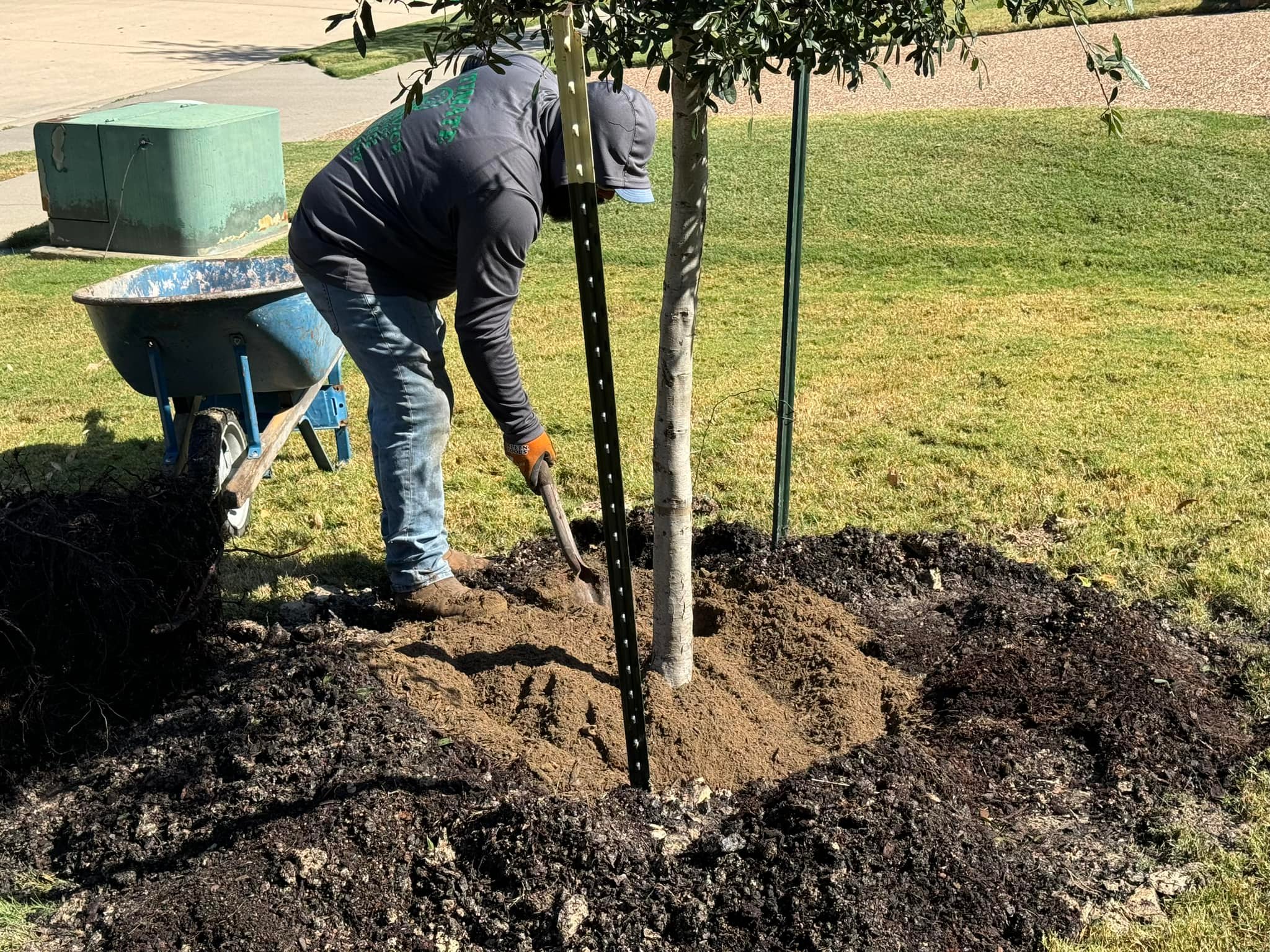 Ultimate Tree Service