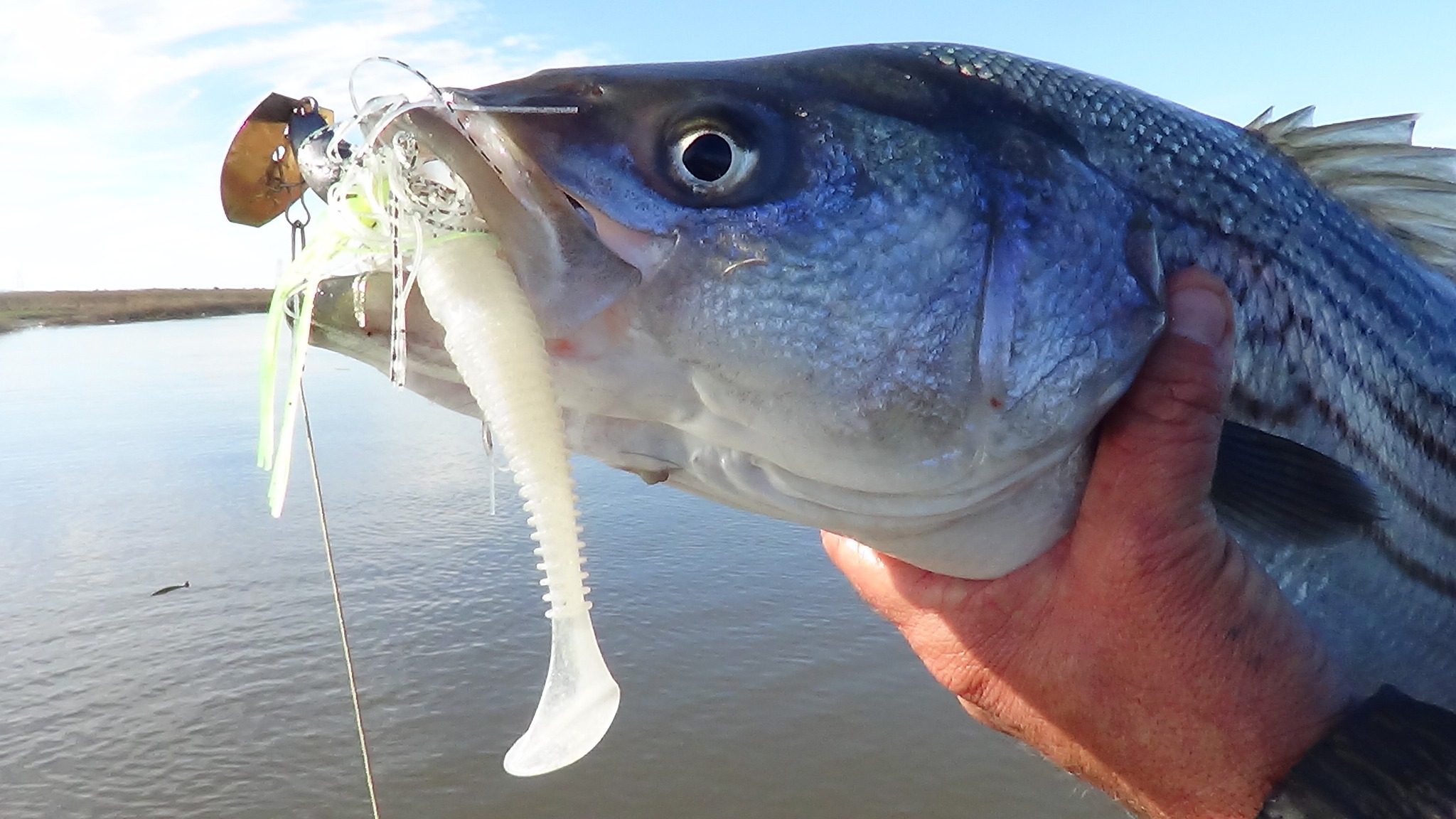 eagle claw 3090 fly reel Mt. Elbert Reels Rove Combine that with the The Top 7 Best Pounds Test:80
