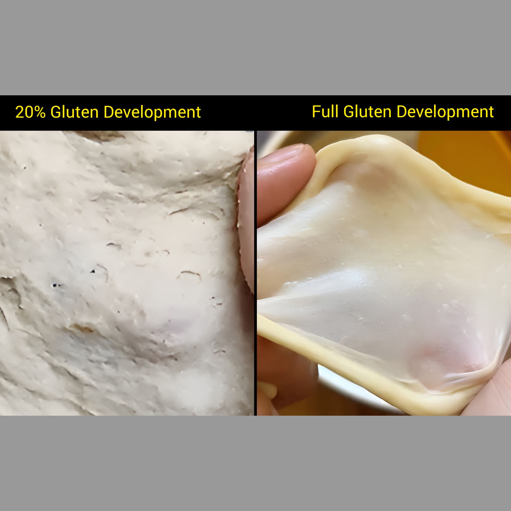 Neme's - If you are new to bread-making, or any dough where gluten ...