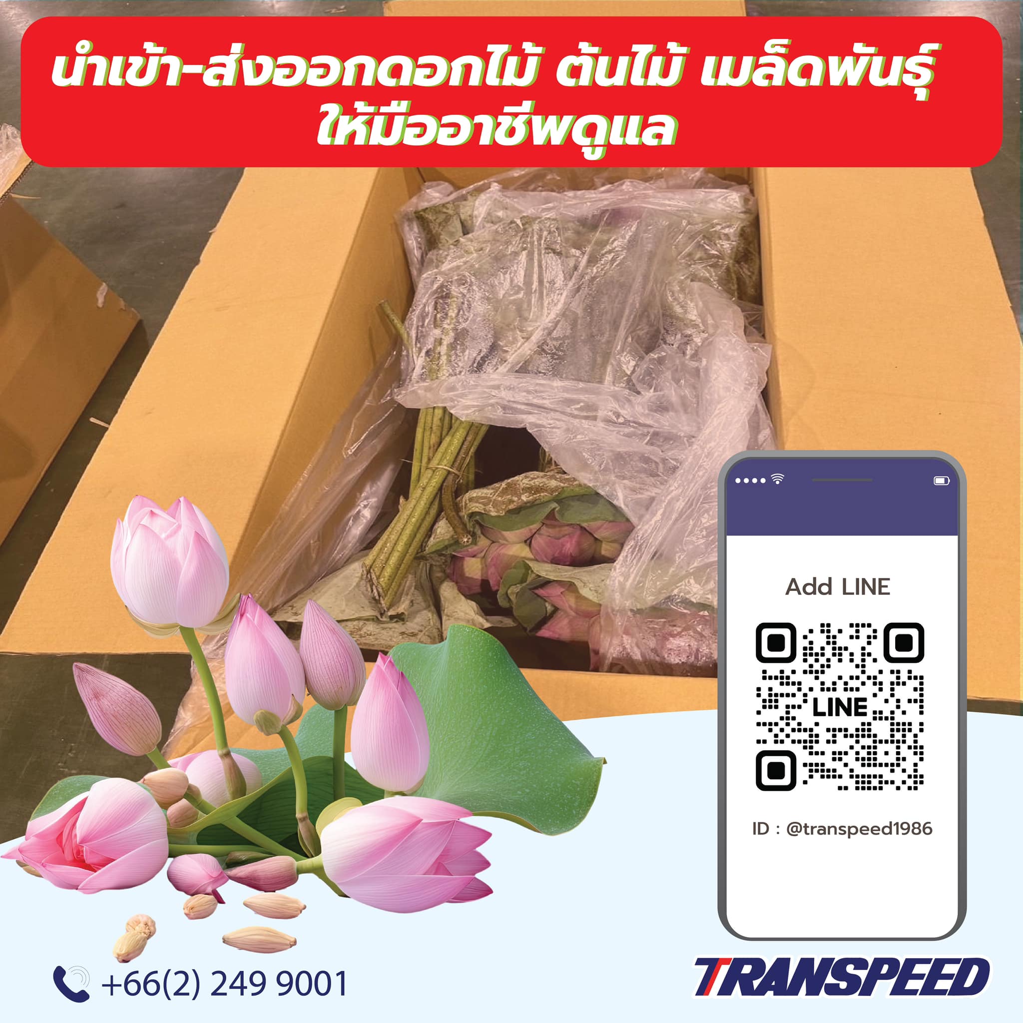 Transpeed บริการขนส่งสินค้าเร่งด่วนระหว่างประเทศ ครบวงจร | Facebook