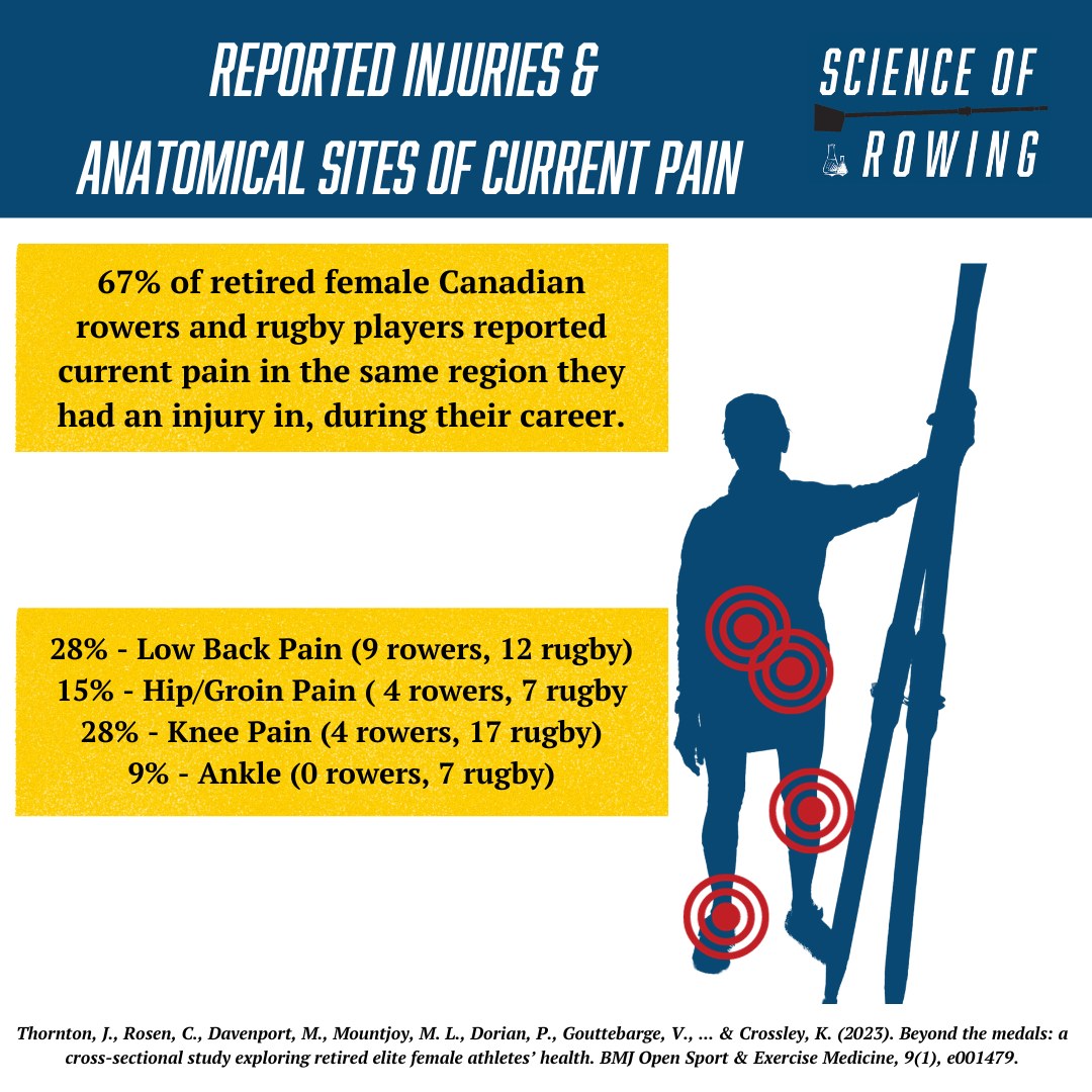 The major anatomical sites of injury... - Science of Rowing