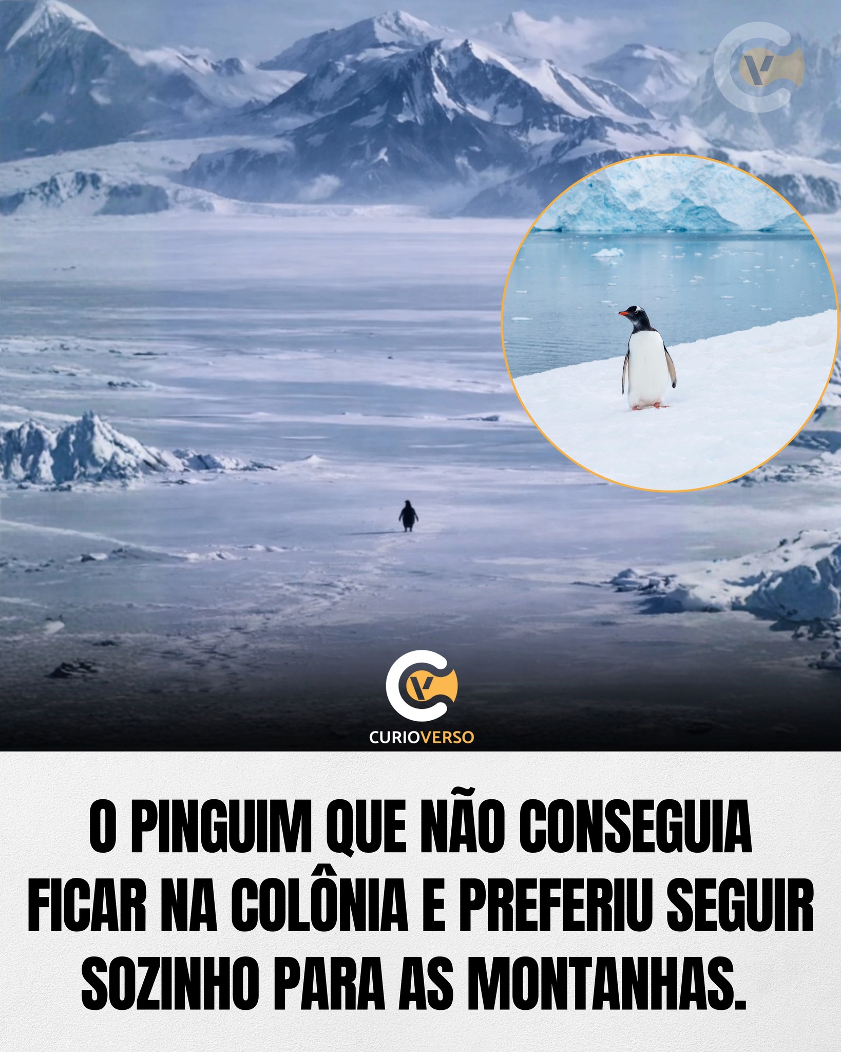 HISTÓRIA CULTURA E CURIOSIDADE NO MUNDO | Erik Rotheim foi um ...
