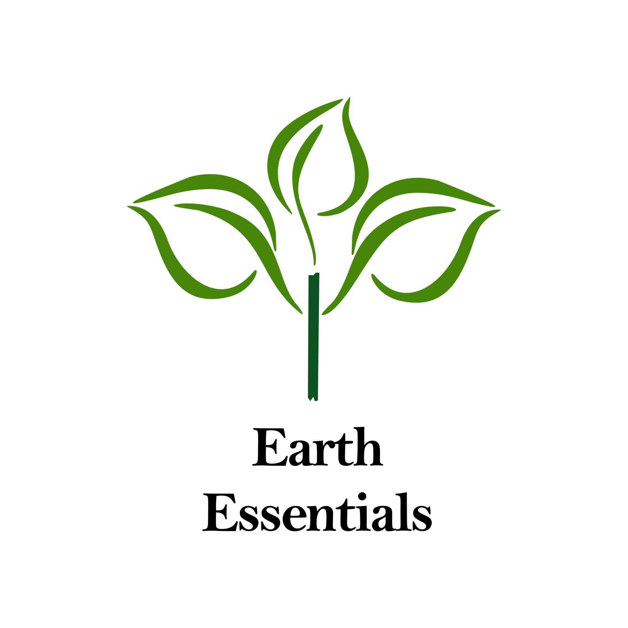 Earth Essentials | Delhi