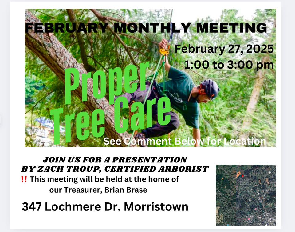 February Meeting: PROPER TREE CARE