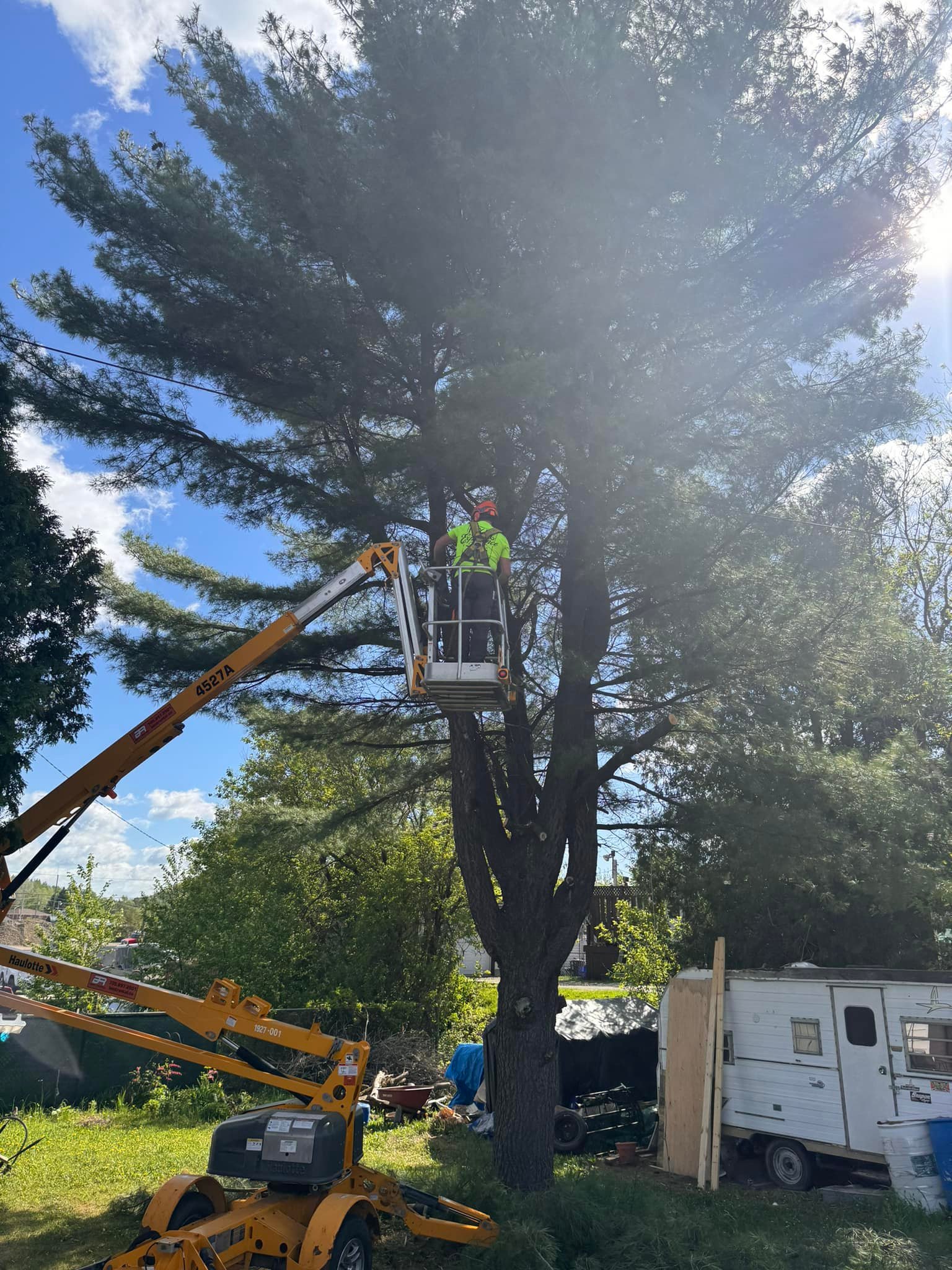 Corboy's Tree Services