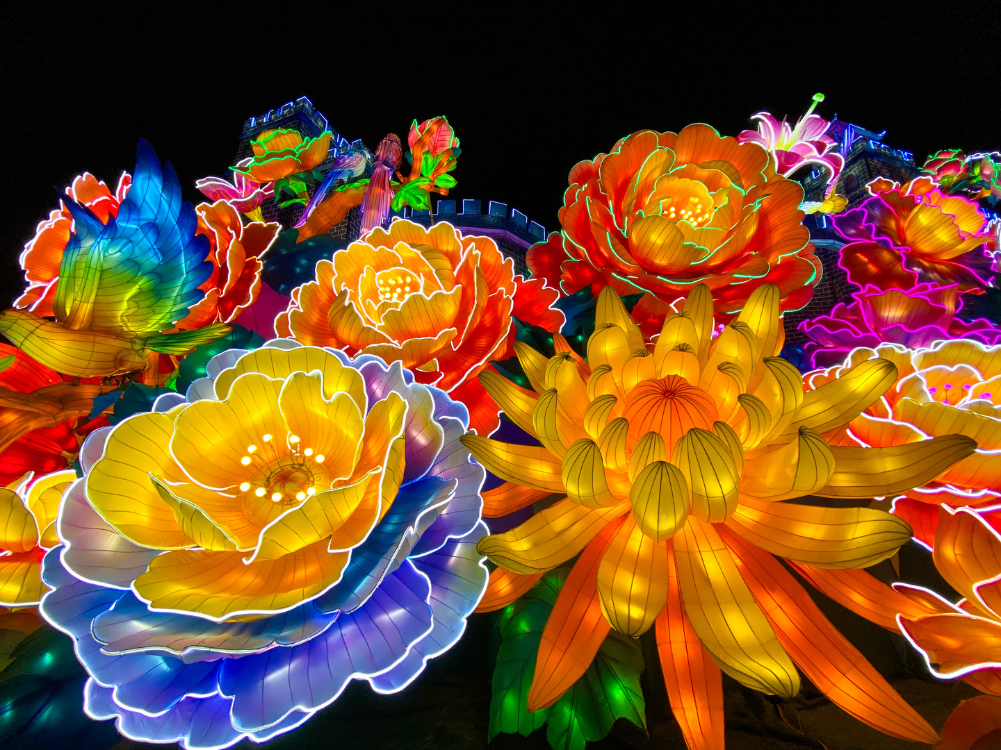 China Daily - Experience the magic of the Beijing Color...