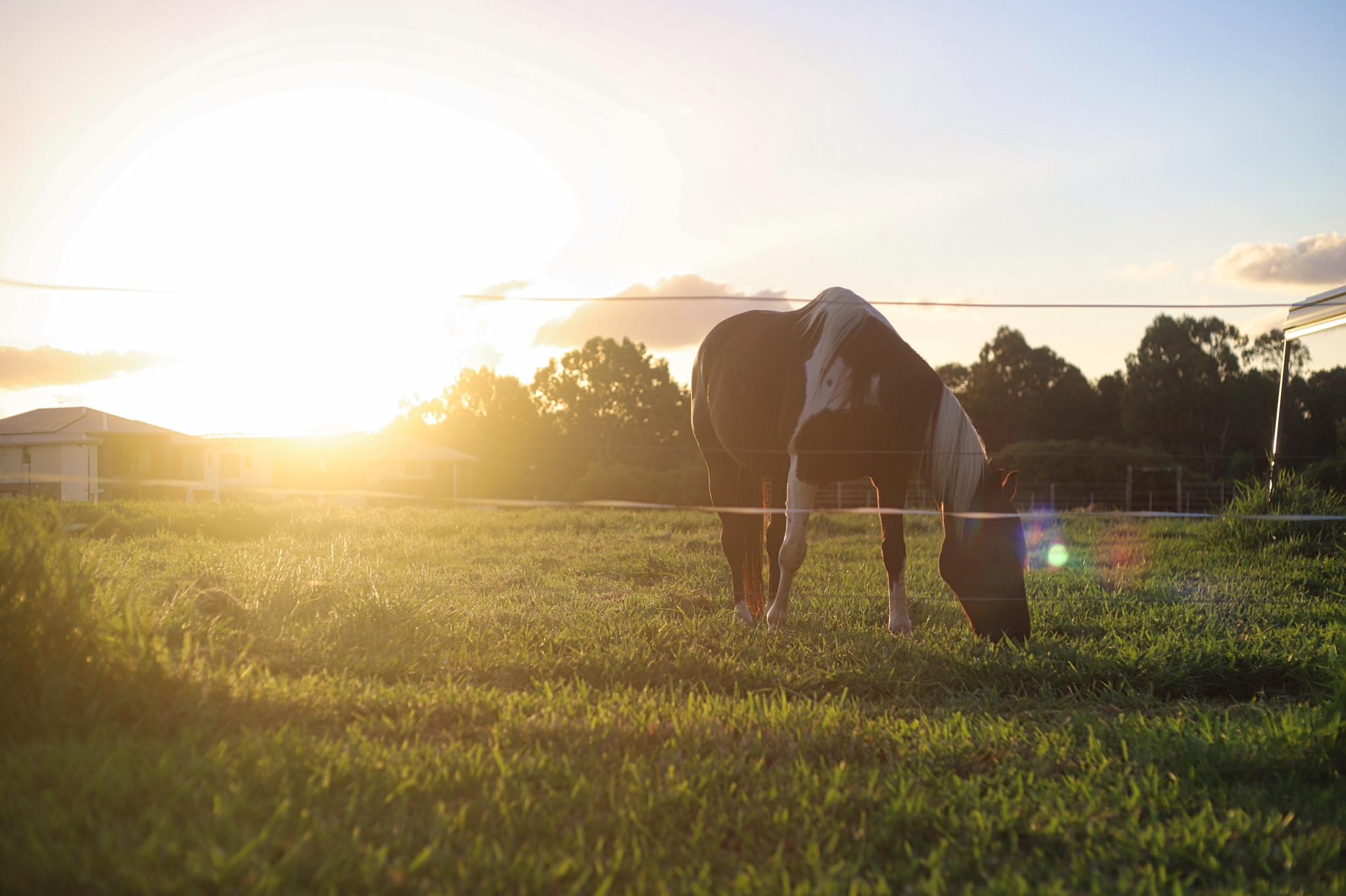 Off Grid Photography