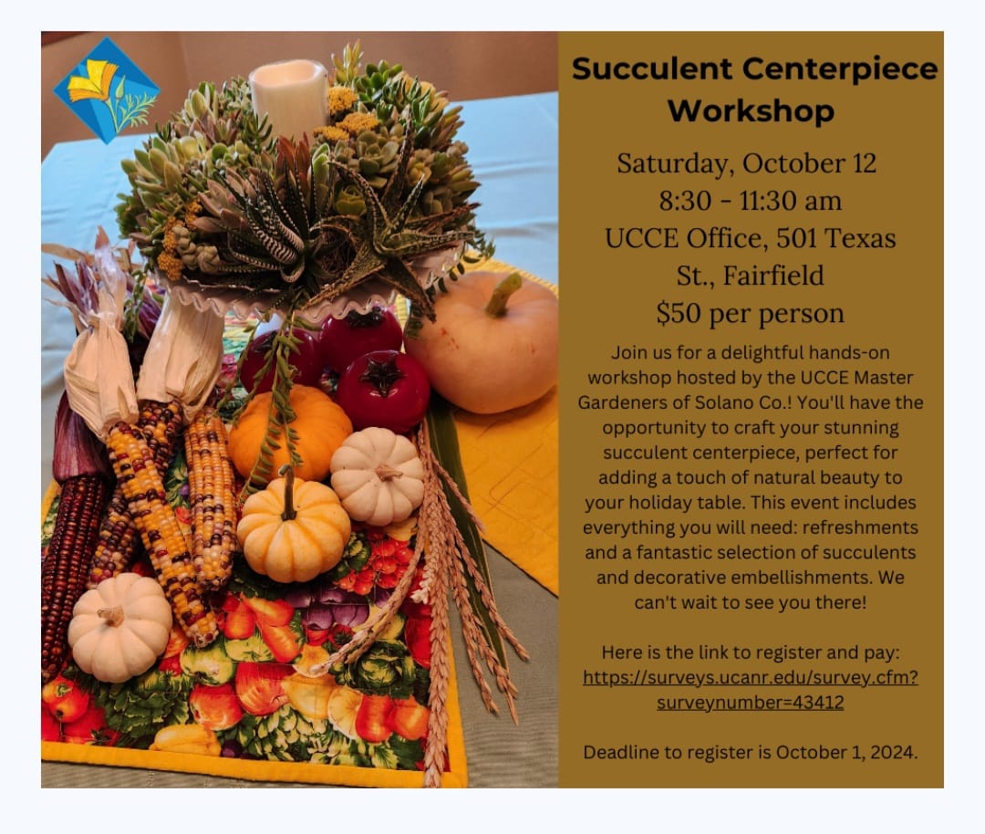 Carmichael Cactus and Succulent Society