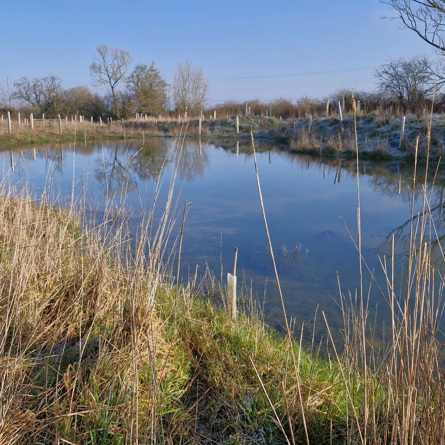 Whaddon Grove Farm | Trowbridge