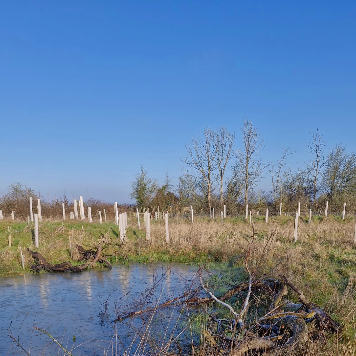 Whaddon Grove Farm | Trowbridge